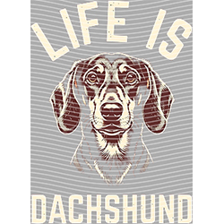 Animal Text Series-AT 3586